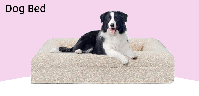 dog bed